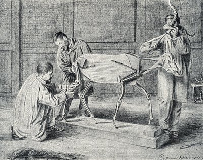 Preparování zvířat: preparování zvířat při přípravě umělé kostry v dílně Rytina z „Excursion a travers les metiers“ od Pierre Calmette Collection privee od Pierre Calmettes