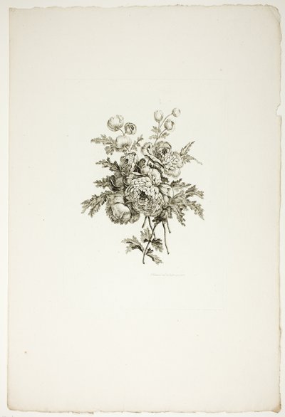 Kytice s pivoňkami ze sbírky různých kytic květin, kterou vymyslel a nakreslil Jean Pillement a vyryl P. C. Canot od Pierre Charles Canot