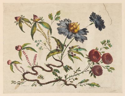Tisk, Flower Boughs, z knihy "Recueil de Differentes Fleurs de Fantaisie Dans le Goût Chinois". od Pierre Charles Canot