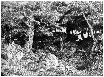 Chenes de Roche, c1832-1860, 1924 od Pierre Etienne Theodore Rousseau