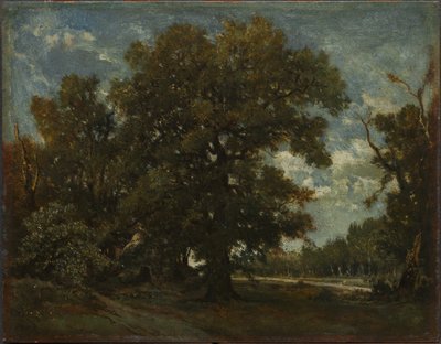 Dub, 19. století. od Pierre Etienne Theodore Rousseau