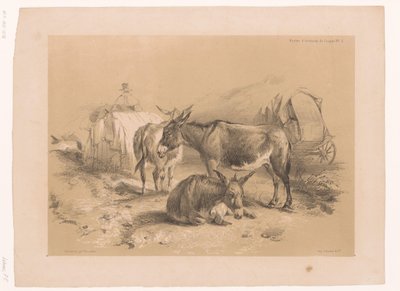 Studie tří oslů Cooper