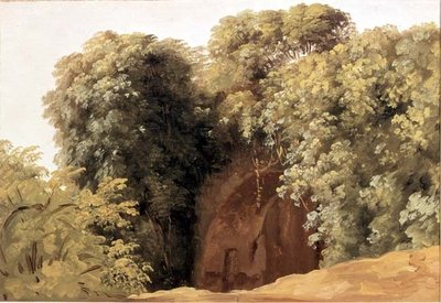 Ruiny arkády se shluky trávy od Pierre Henri de Valenciennes