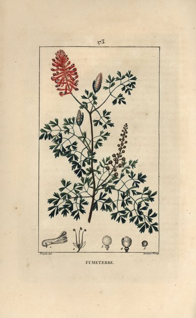 Závěsný od Pierre Jean Francois Turpin