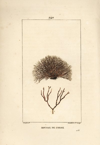 Závěsný od Pierre Jean Francois Turpin