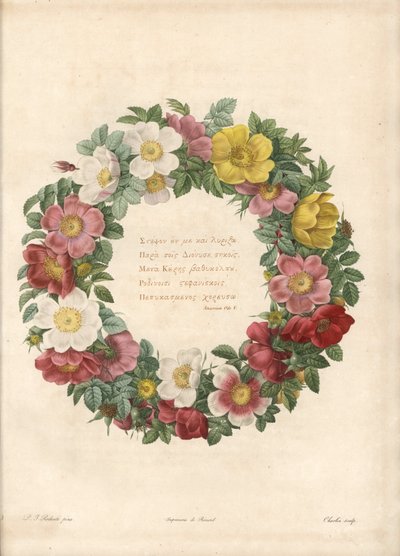Koruna růží s řeckým heslem - Eau forte od Charlina, podle ilustrace Pierre Joseph Redoute (1759-1840), z Les Roses od Pierre Joseph Redouté