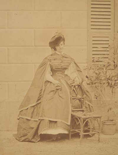 Taftové šaty, 1860. od Pierre Louis Pierson