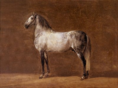 Kůň císaře Napoleona I.: Cheikh, obraz Pierra Martineta od Pierre Martinet