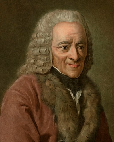 Portrét Voltaira od Pierre Michel Alix