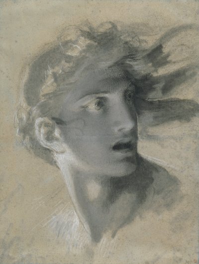 Hlava pomsty od Pierre Paul Prud