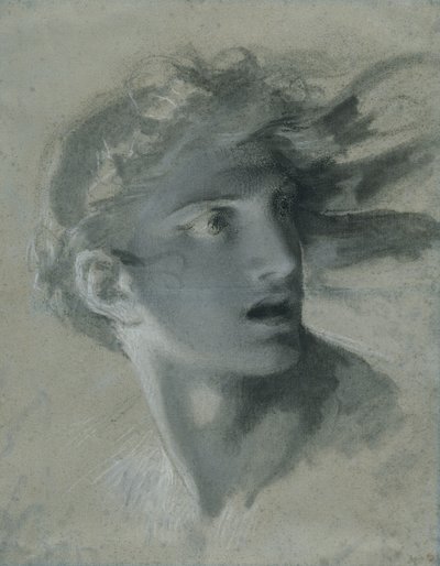Hlava pomsty, kolem roku 1804 od Pierre Paul Prudhon