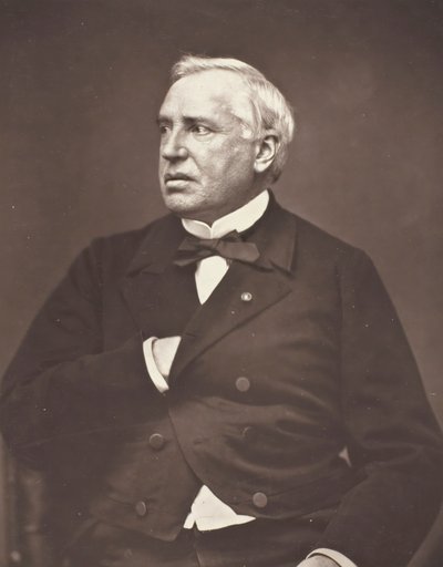 Nelaton, c. 1876. od Pierre Petit