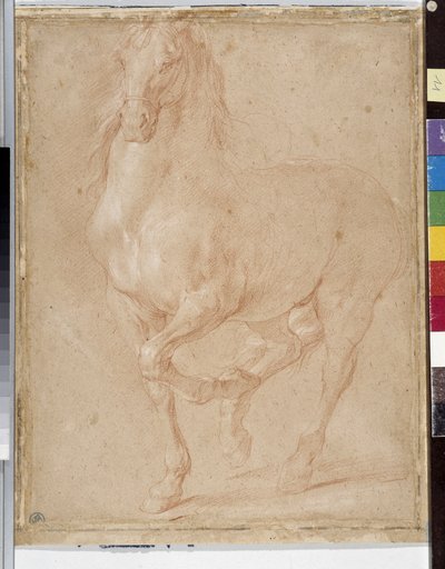 Studium koní (sangvinik) od Pierre Puget