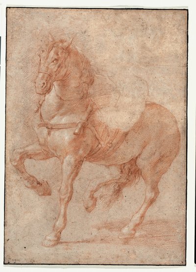 Studie Bucefala pro reliéf "Alexandr a Diogenes" od Pierre Puget