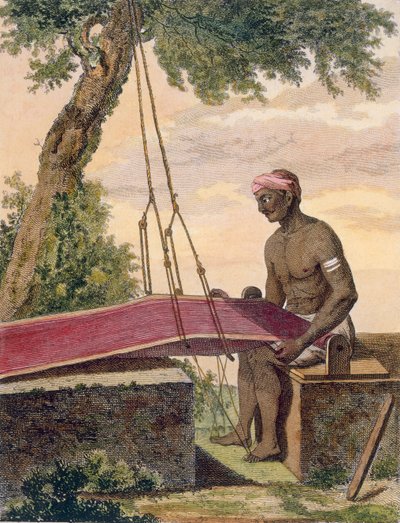 Tkadlec látek, 1782. od Pierre Sonnerat