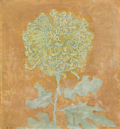Chryzantéma od Piet Mondrian