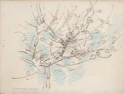 Kvetoucí strom, cca 1917-18 (tužka a pastelka na papíře) od Piet Mondrian