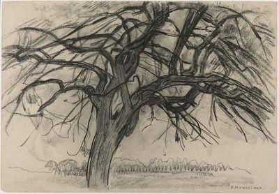 Předběžná studie pro večer: (černá pastelka a uhel na papíře), 1908. od Piet Mondrian