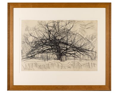 Studie pro The Grey Tree, 1911 (černá pastelka na papíře) od Piet Mondrian