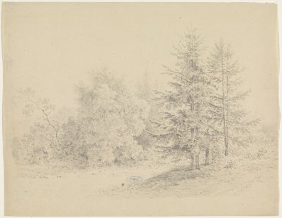 Výhled na les s borovicemi od Pieter Bartholomeusz. Barbiers