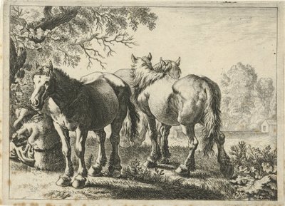 Tři koně a farmář Různá zvířata (název série) od Pieter Bodding van Laer