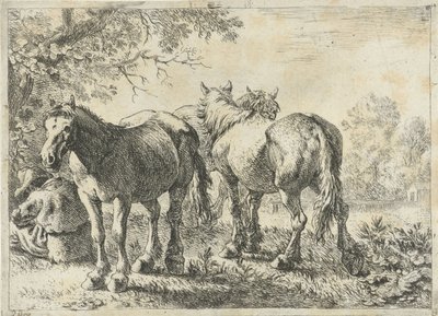Tři koně a farmář Různá zvířata (název série) od Pieter Bodding van Laer