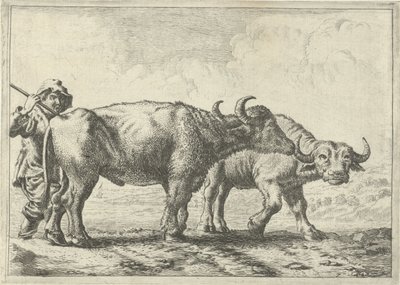 Dva buvoli a ovčák Různá zvířata (název série) od Pieter Bodding van Laer