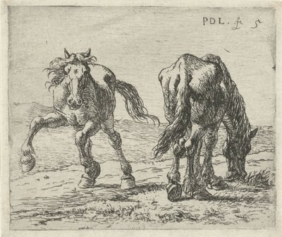 Dva koně na louce Koně (název seriálu) od Pieter Bodding van Laer