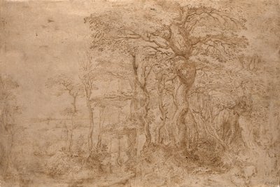 Sylvánová krajina s pěti medvědy od Pieter Bruegel the Elder