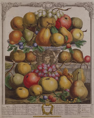 prosince, z „Dvanáct měsíců ovoce“, od Roberta Furbera (asi 1674-1756), vyryto Henrym Fletcherem, 1732 (barevná rytina) od Pieter Casteels