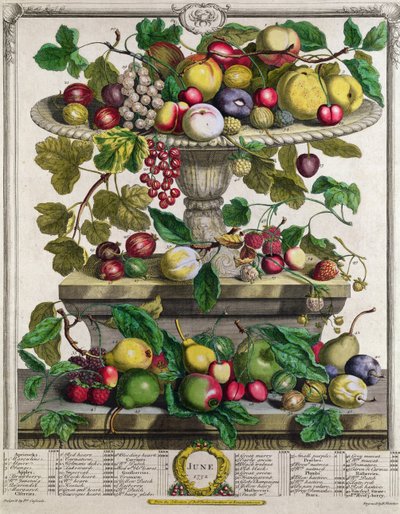 června, z „Dvanáct měsíců ovoce“, od Roberta Furbera (asi 1674-1756), vyryto Henrym Fletcherem, 1732 (barevná rytina) od Pieter Casteels