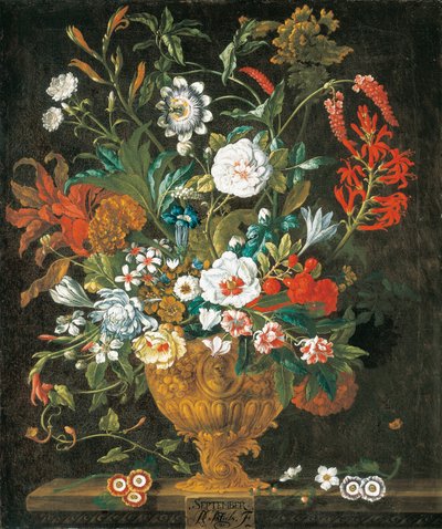 září, od Dvanáct měsíců květin, květinový kalendář zátiší od Pieter Casteels