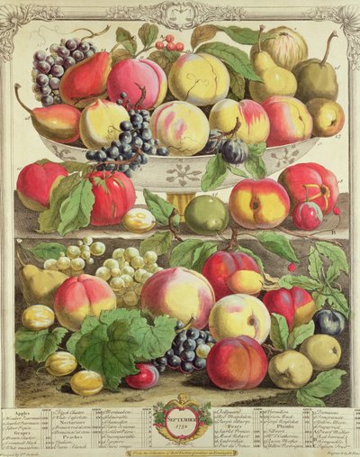 září, z „Dvanáct měsíců ovoce“, od Roberta Furbera (asi 1674-1756), vyryto Henrym Fletcherem, 1732 (barevná rytina) od Pieter Casteels