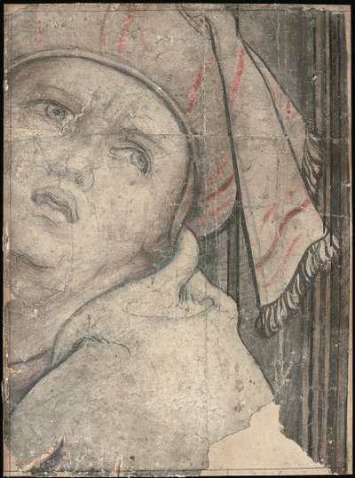 Hlava muže v turbanu při pohledu nahoru od Pieter Coecke van Aelst