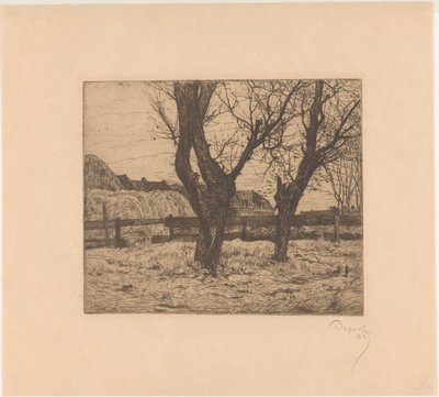 Pollard vrby na louce od Pieter Dupont (signed by artist)