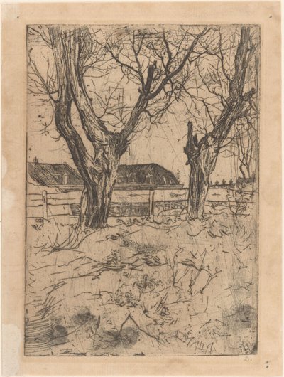 Dvě polardové vrby na plot od Pieter Dupont (signed by artist)
