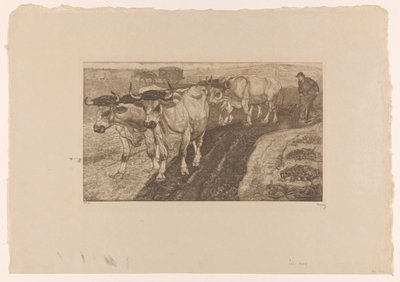 Čtyři voli orající od Pieter Dupont (signed by artist)