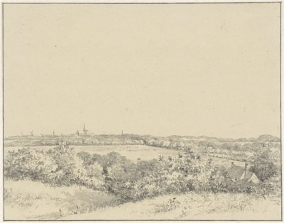 Pohled na Haarlem z dun od Pieter Ernst Hendrik Praetorius