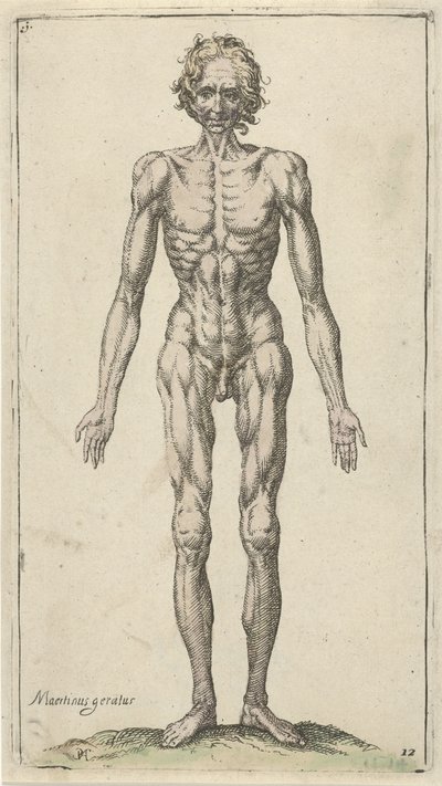 Studie nahého muže Anatomické studie (název série) od Pieter Feddes van Harlingen
