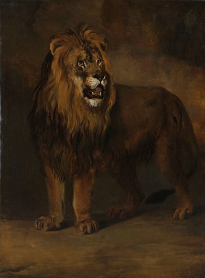 Lev ze zvěřince krále Ludvíka Napoleona, 1808 od Pieter Gerardus van Os