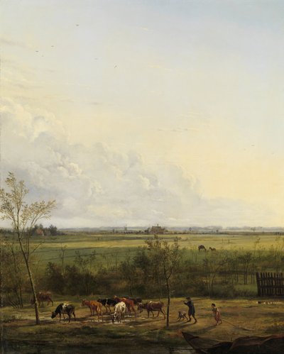 Pohled do dálky na Meadows v 