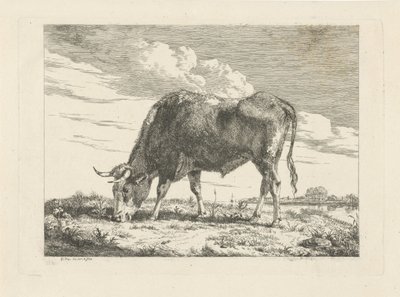 pasoucí se kráva od Pieter Gerardus van Os