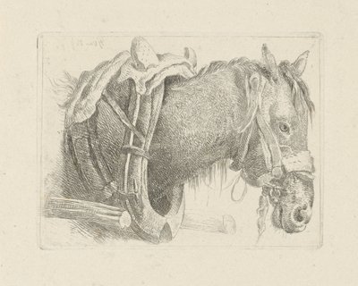 Studie koňské hlavy od Pieter Gerardus van Os