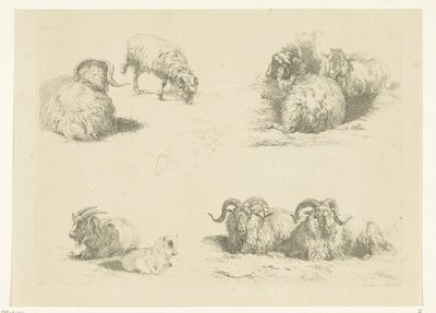 Čtyři představení s ovcemi a kozami Ovce a kozy (název série) od Pieter Gerardus van Os
