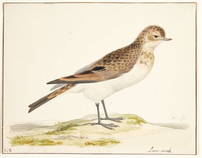 skřivan zpěvný (alauda arvensis) od Pieter Holsteijn