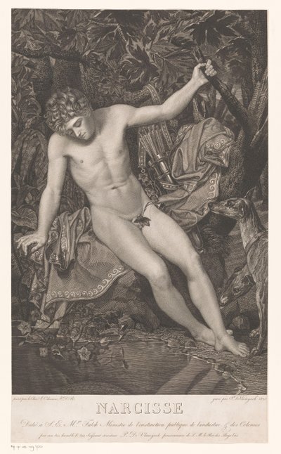 Narcis na nábřeží Narcis (název na předmětu) od Pieter Jan de Vlamynck