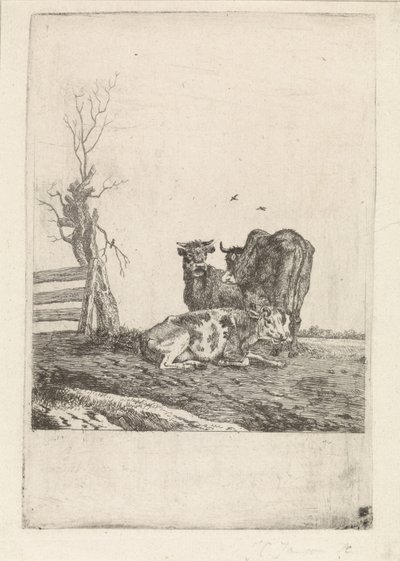Krajina se třemi krávami od Pieter Janson