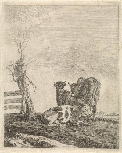 Krajina se třemi krávami od Pieter Janson