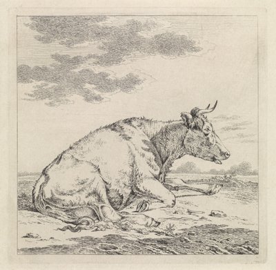Ležící kráva, vpravo od Pieter Janson