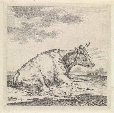 Ležící kráva, vpravo od Pieter Janson